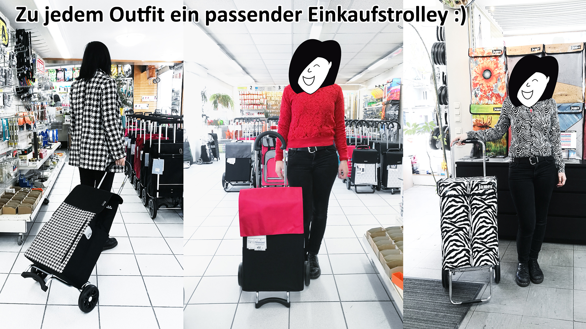 Einkaufstrolley-günstig