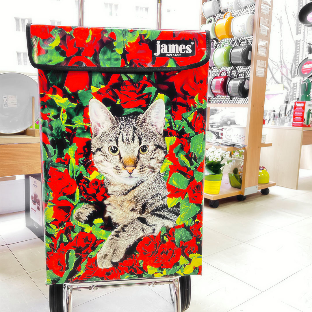 james-einkaufstrolleys-plane-bunt-wien-26-eisendorn-news