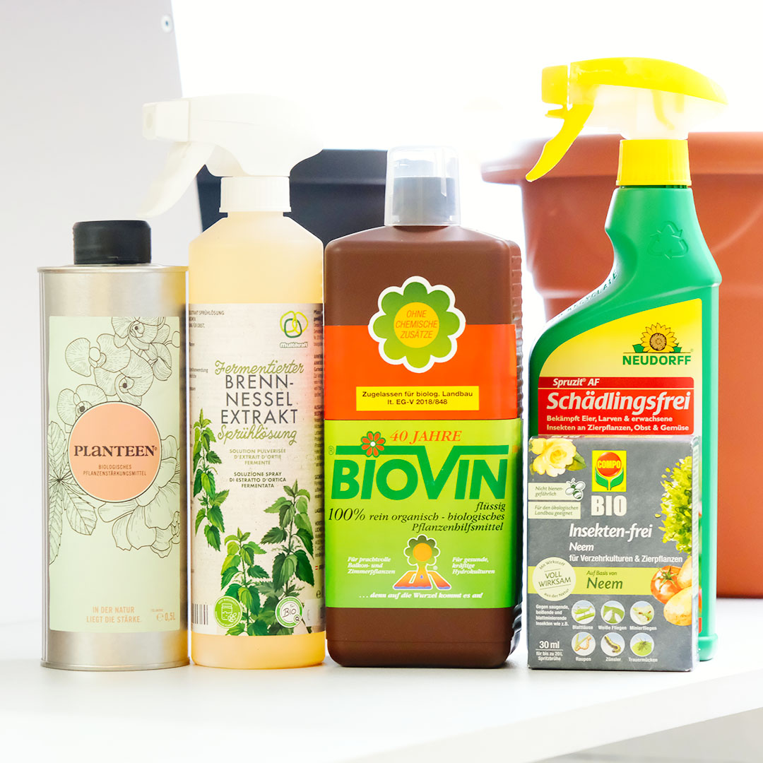 planteen-biovin-spruzit-neem-wien-25-eisendorn-news