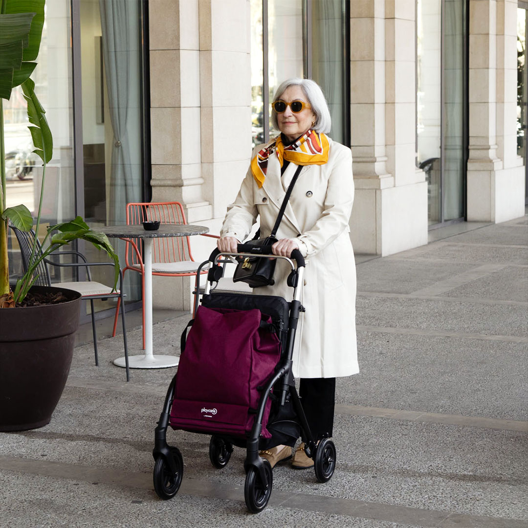 playcare-r05-einkaufstrolley-schieben-sitz-wien-25-eisendorn-news